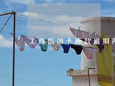 工商信用卡还款逾期两小时 工商信用卡还款逾期两小时