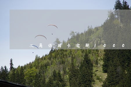 工商信用卡逾期1000元 工商信用卡逾期1000元