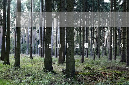 工商信用卡逾期10400 工商信用卡逾期10400