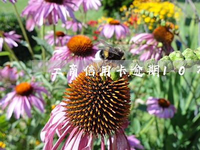 工商信用卡逾期10万怎么办 工商信用卡逾期10万怎么办