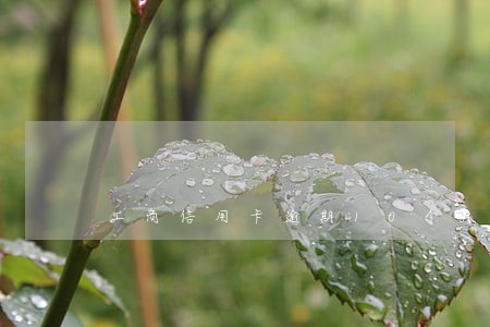 工商信用卡逾期10个月被作废