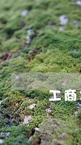 工商信用卡逾期10天天天打电话