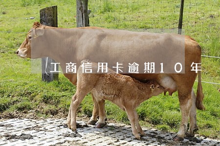 工商信用卡逾期10年