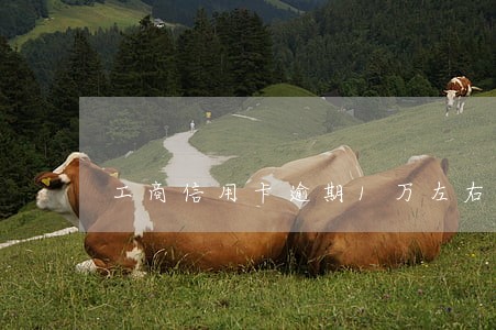 工商信用卡逾期1万左右