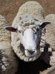 工商信用卡逾期1两年了 工商信用卡逾期1两年了