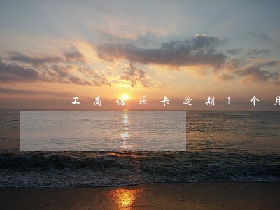 工商信用卡逾期1个月了 工商信用卡逾期1个月了
