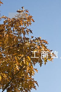 工商信用卡逾期1天还款后果 工商信用卡逾期1天还款后果