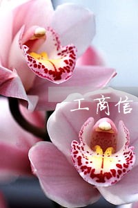 工商信用卡逾期1年还能用吗 工商信用卡逾期1年还能用吗