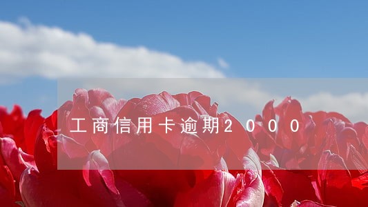 工商信用卡逾期2000 工商信用卡逾期2000