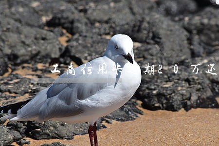 工商信用卡逾期20万还不上