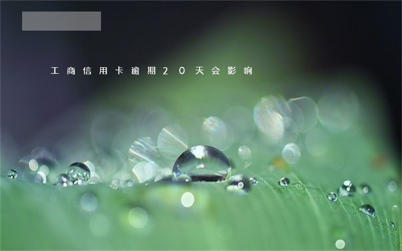 工商信用卡逾期20天会影响 工商信用卡逾期20天会影响