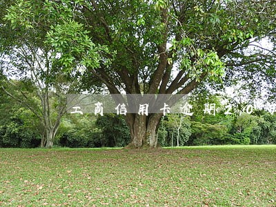 工商信用卡逾期20天被停卡 工商信用卡逾期20天被停卡