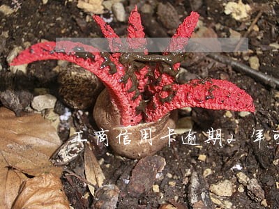 工商信用卡逾期2年可以协商嘛 工商信用卡逾期2年可以协商嘛