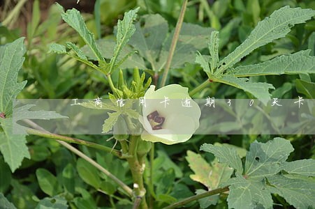 工商信用卡逾期30天卡冻结了 工商信用卡逾期30天卡冻结了