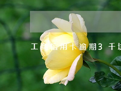 工商信用卡逾期3千块 工商信用卡逾期3千块
