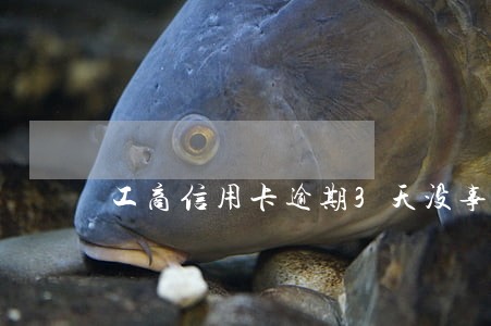 工商信用卡逾期3天没事吧 工商信用卡逾期3天没事吧