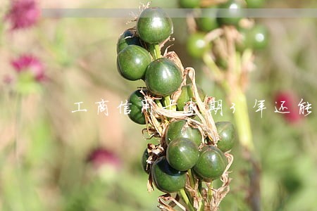 工商信用卡逾期3年还能还进去吗 工商信用卡逾期3年还能还进去吗