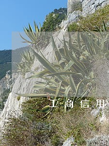 工商信用卡逾期4天额度变为0