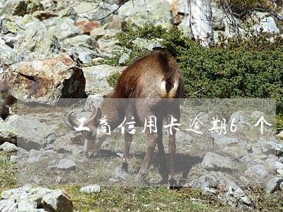 工商信用卡逾期6个月没还