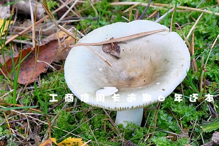 工商信用卡逾期6年还本金 工商信用卡逾期6年还本金