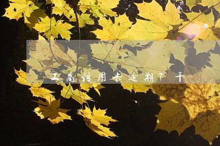 工商信用卡逾期7千 工商信用卡逾期7千