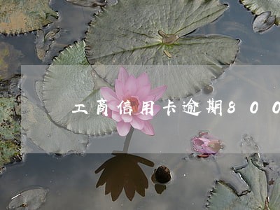 工商信用卡逾期8000会上门吗
