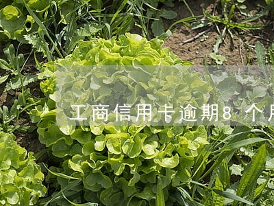 工商信用卡逾期8个月了冻结 工商信用卡逾期8个月了冻结
