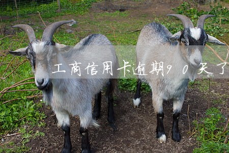 工商信用卡逾期90天了