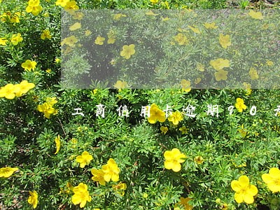 工商信用卡逾期90天如何协商