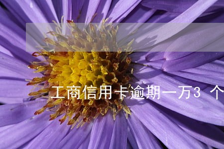 工商信用卡逾期一万3个月了