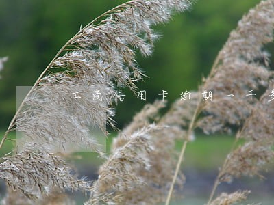 工商信用卡逾期一千多一个月 工商信用卡逾期一千多一个月