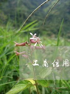 工商信用卡逾期一天严重吗 工商信用卡逾期一天严重吗