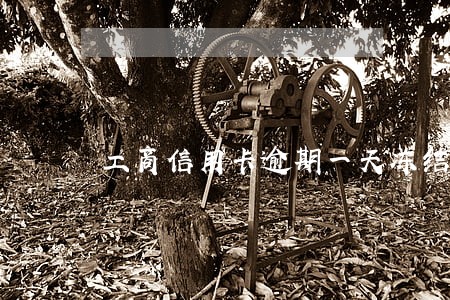 工商信用卡逾期一天冻结额度吗 工商信用卡逾期一天冻结额度吗