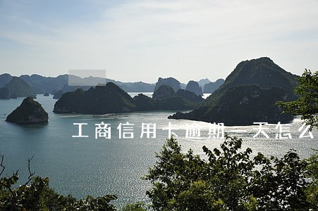 工商信用卡逾期一天怎么算 工商信用卡逾期一天怎么算