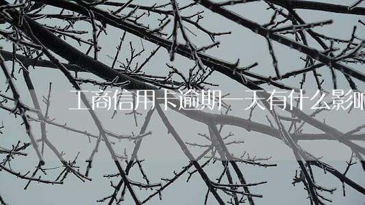 工商信用卡逾期一天有什么影响