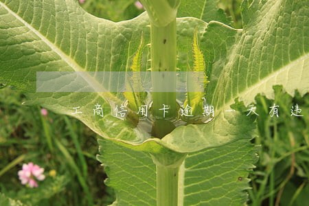 工商信用卡逾期一天有违约金