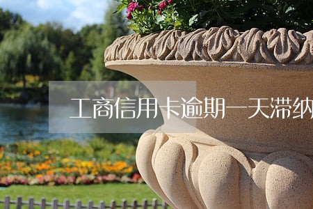 工商信用卡逾期一天滞纳金多少