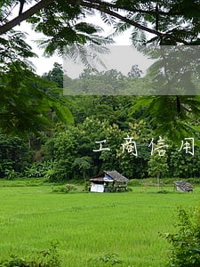 工商信用卡逾期一天要付利息