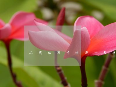 工商信用卡逾期一天要扣多少 工商信用卡逾期一天要扣多少