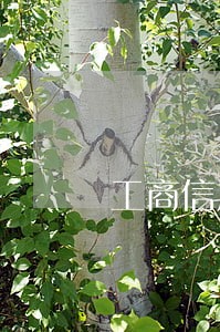 工商信用卡逾期一天还款 工商信用卡逾期一天还款
