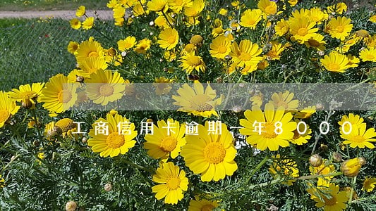 工商信用卡逾期一年8000 工商信用卡逾期一年8000