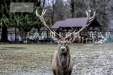 工商信用卡逾期一年冻结