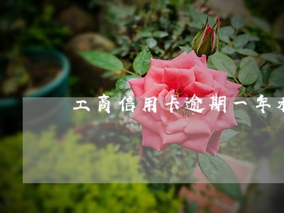 工商信用卡逾期一年利息多少 工商信用卡逾期一年利息多少