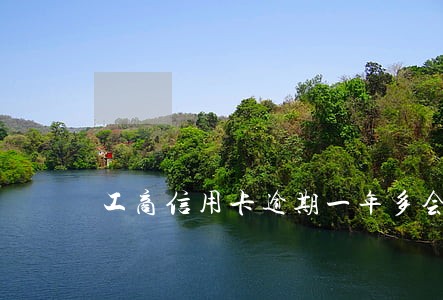 工商信用卡逾期一年多会坐牢吗