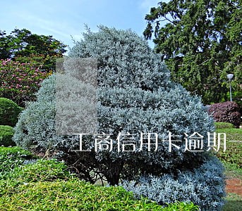 工商信用卡逾期一次会影响征信 工商信用卡逾期一次会影响征信