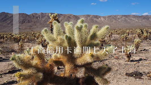 工商信用卡逾期七天了上海 工商信用卡逾期七天了上海