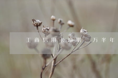 工商信用卡逾期三万半年了 工商信用卡逾期三万半年了