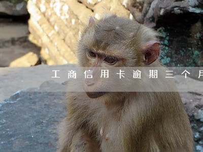 工商信用卡逾期三个月没催收
