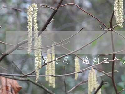 工商信用卡逾期三个月解冻 工商信用卡逾期三个月解冻