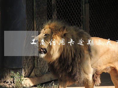 工商信用卡逾期三天有影响吗